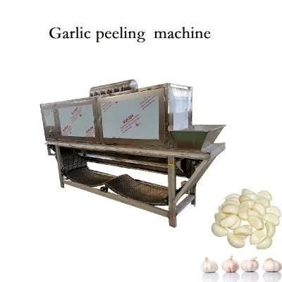 500-800kg / H Chain Garlic Peeling Machine Factory Automatic Garlic Production Line