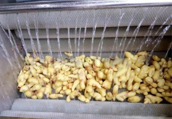 Ginger Processing Plant Ginger Peeling Washing and Drying Line Machine