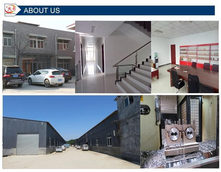 Hot Sale Pet Dog Food Making Machine Processing Line