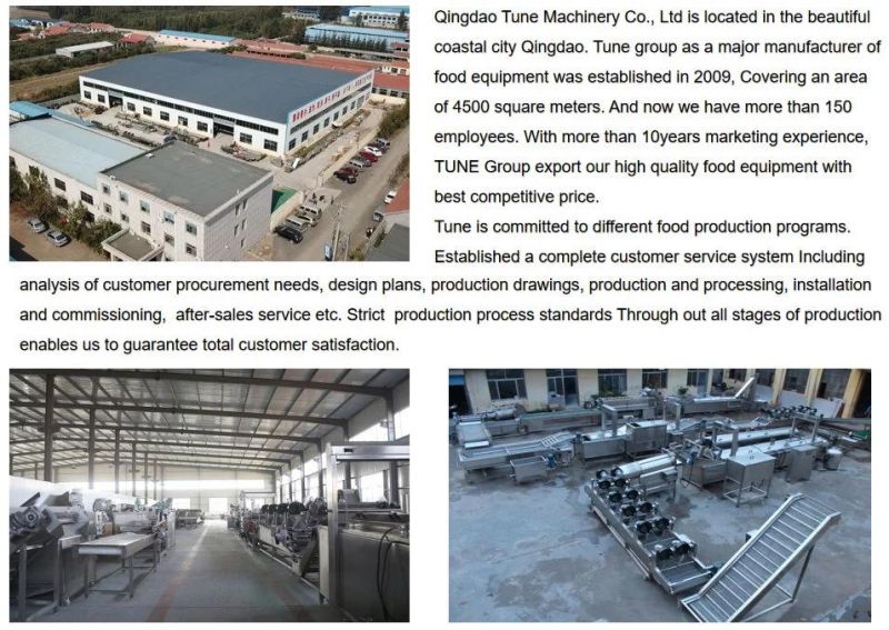 100kg Fully Automatic Frozen French Fries Production Line Price
