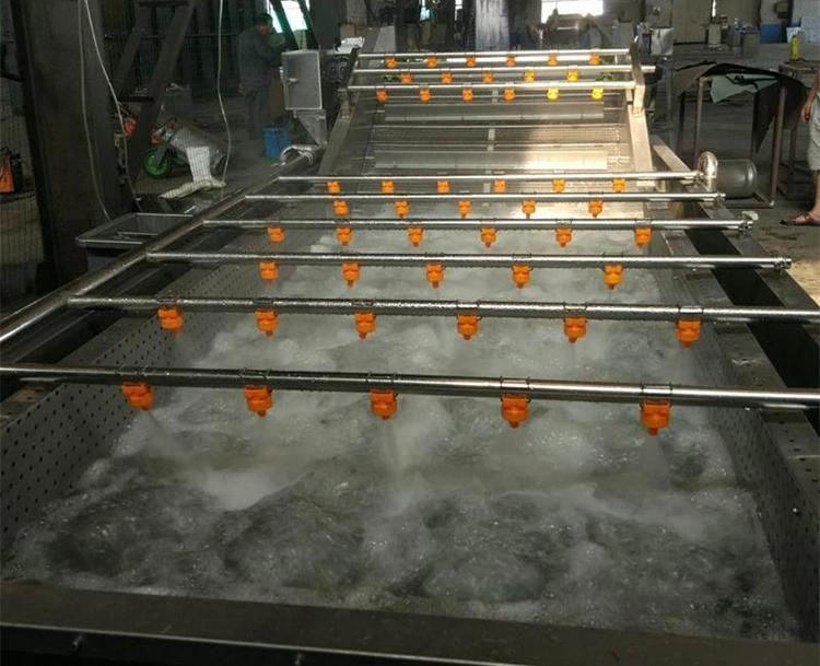 High Quality Fruits Vegetables Washing Processing Cleaning Machinery