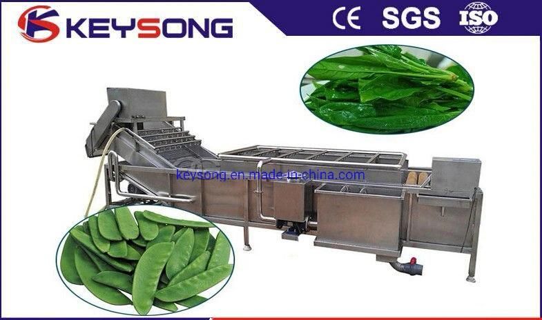 Hot Sale High Pressure Fruit Vegetable Washing Processing Machinery