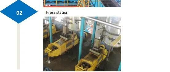 Palm Fruit Processing Equipment/Cpo/Palm Kernel Oil Equipment