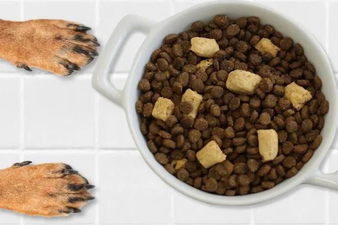 Vacuum Dreeze Dryer for Pet Dog Food Freeze Dryer Lyophilizer