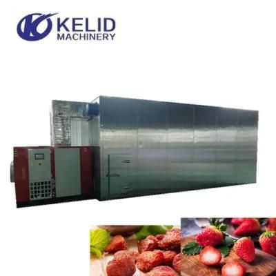 Eo-Friendly Heat Pump Blackcurrant Blueberry Strawberry Drying Machine