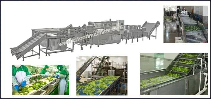 Fruit and Vegetable Machine and Vegetable Processing Machinery