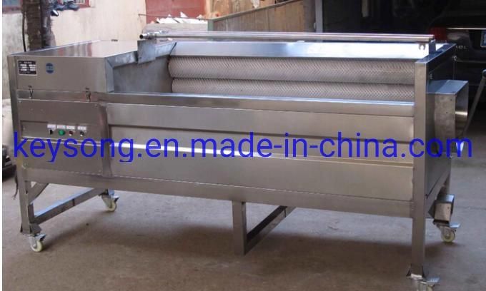 Restaurant Food Fruit Vegetable Processing Washing Sorting Grading Machinery