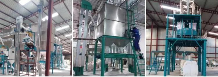 New Installed 50t/24h Maize Mill Maize Flour Making Machine in Tanzania