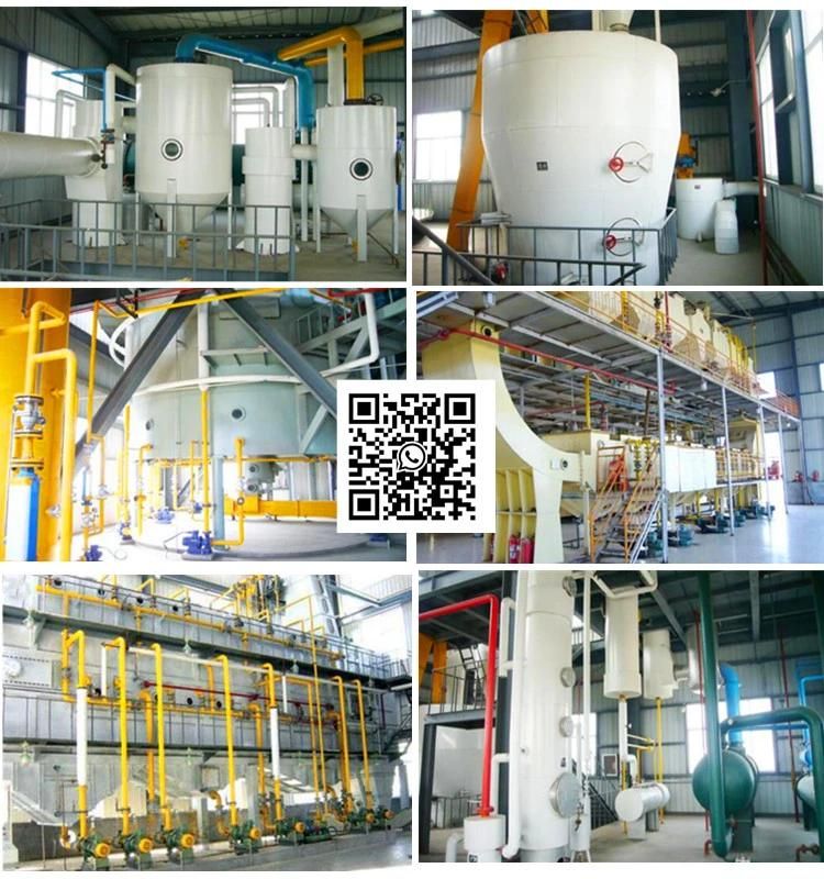 Hua Tai Manufacture Top Brand Quality High Efficiency Sunflower Palm Soya Peanut Oil Making Machine