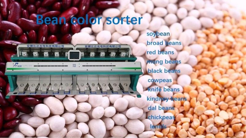 10 Chutes Bean Processing Machine Bean Color Sorter