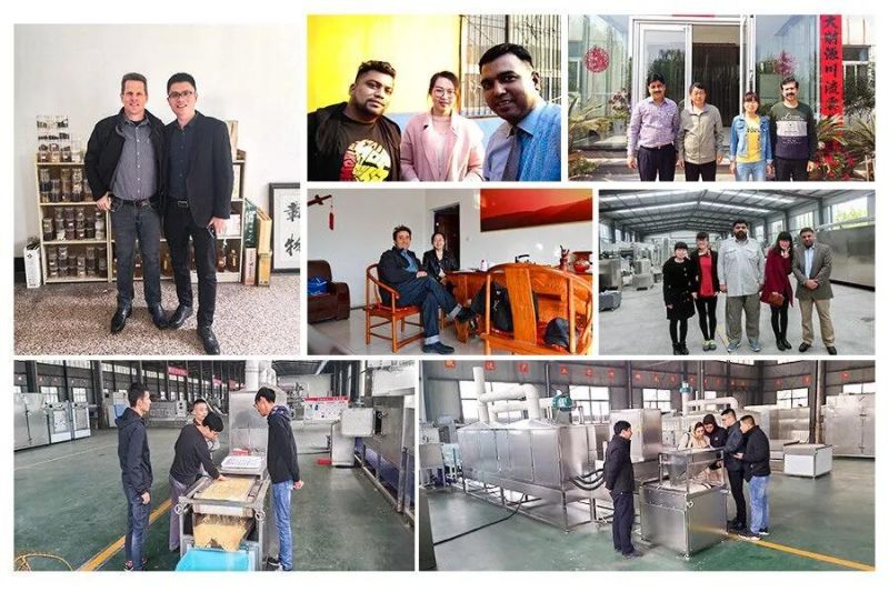 Easy-Operation and Energy-Saving Snacks Machinery Frying Processing Line with Factory Price for Sale