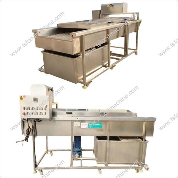 Commercial Citrus Brush Washing Machine Citrus Washer