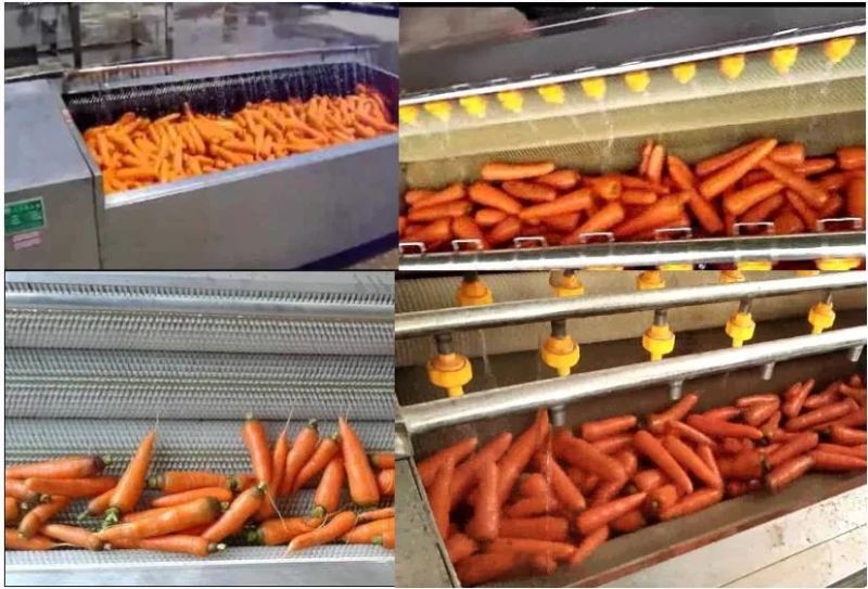 High Speed Line Vegetable Roller Washing Carrot Potato Peeling Machine