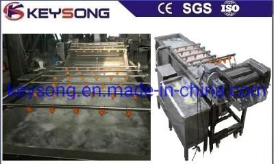 Food Machinery Brush Washing Machine for Fruit &amp; Vegetable