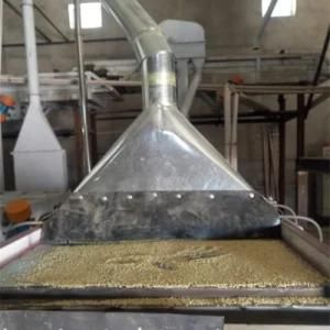 Buckwheat Huller Equipment Processing