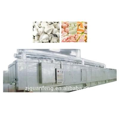 Tunnel Quick-Freezing Machine for Fruits