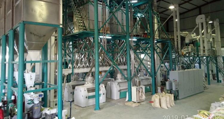 Hongdefa Maize Milling Plant Corn Flour Mill Machine in Zimbabwe