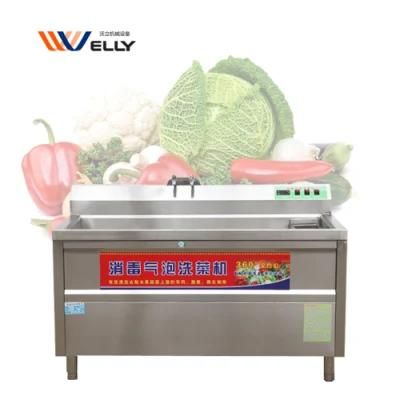Small Business Garden Bean Eggplant Ghost Chili Washing Machine for Kitchen Use