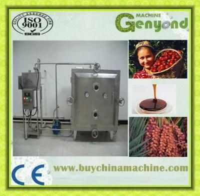 Hot Sale Date Syrup Plant (100-2000kg/Hour)