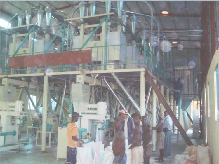 Small-Scale Maize Milling Machine Corn Flour Line 5 to 10 Tons a Day