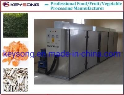 Industrial Large-Scale Production Food Fruit Vegetable Dryer