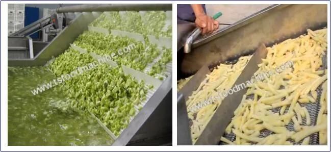 Vegetable Processing Machine and Fruit and Vegetable Blanching Machine