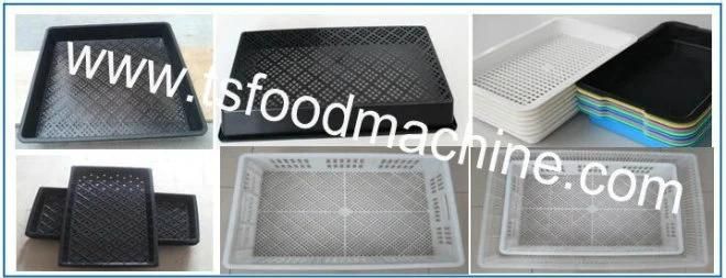 Plastic Seedling Tray Washing Machine and Tunover Basket Washer and Cleaning Machine