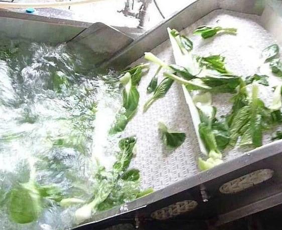 Electric Autimatic Vegetable Washing Machine