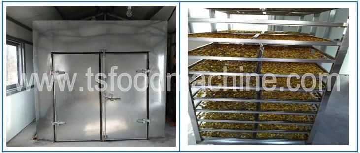 500kg Vegetable and Fruit Dryer Blueberries Dryer and Drying Machine