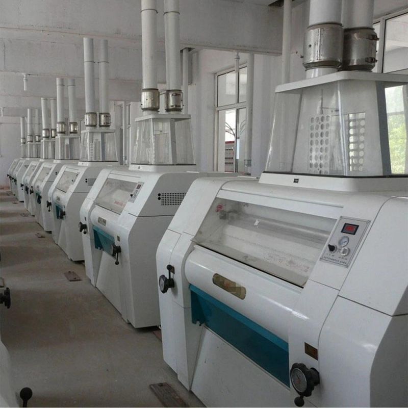 300t/24h Wheat Flour Mill