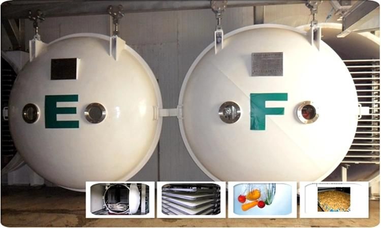 Commercial Vacuum Food Home Freeze Dryer Price