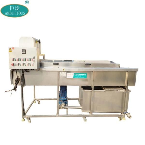 Fruit Washing Machinery Apple Brush Washing Machine