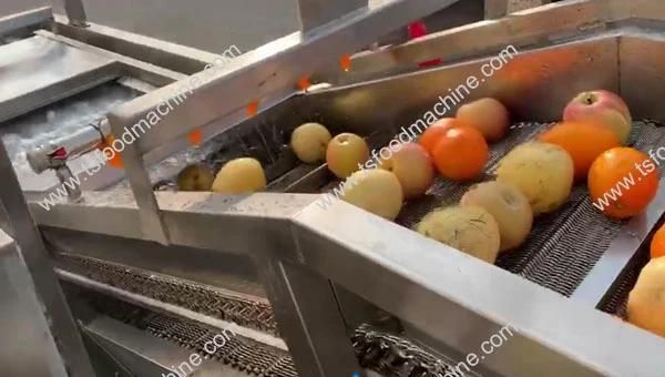 Automatic Fruit Vegetable Washer Machines Apple Washing Machine