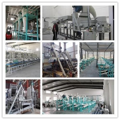 Sunflower Seed and Dehulling and Related Machine Manufacturers