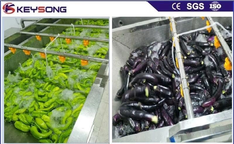 Fruits Processing Equipment Plant Price Vegetables Washing Cleaning Machine