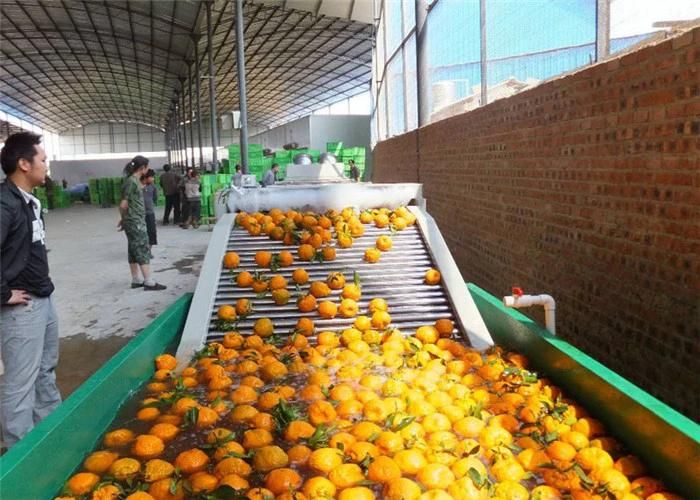 Automatic Apple Vegetable Fruit Air Bubble Washing Machine