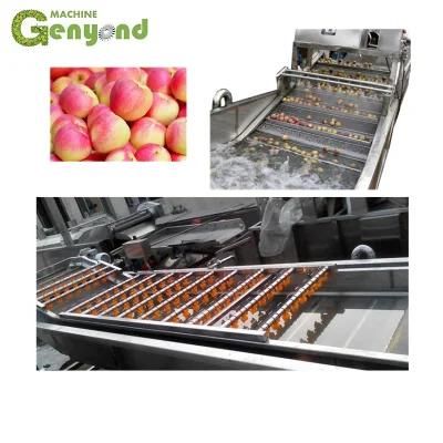 Apple Juicer Vinegar Processing Production Line