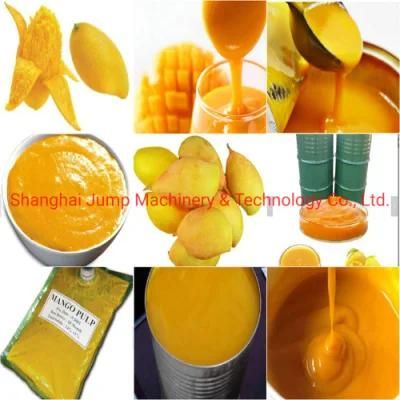 Mango Puree Production Line