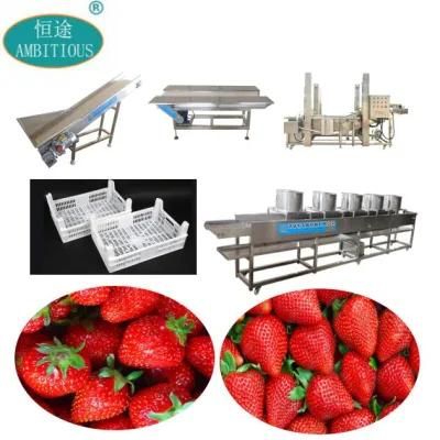 Strawberry Washing and Drying Line Strawberry Washer Machine