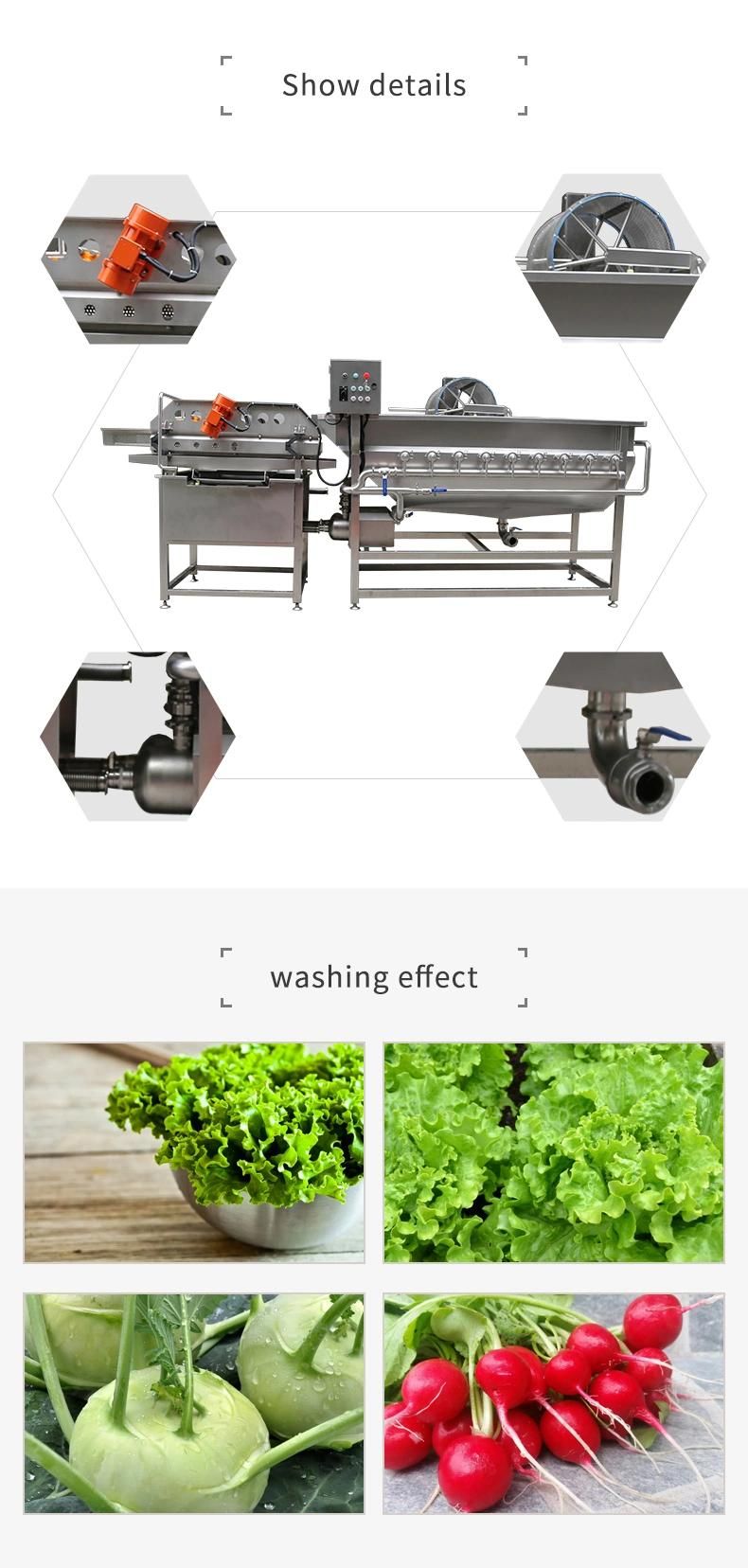 Vegetable Lettuce Cabbage Potato Pawpaw Apple Pear Pitaya Dragon Fruit Conveyor Style Vibration Fliter Bubble Spray Washing Machine