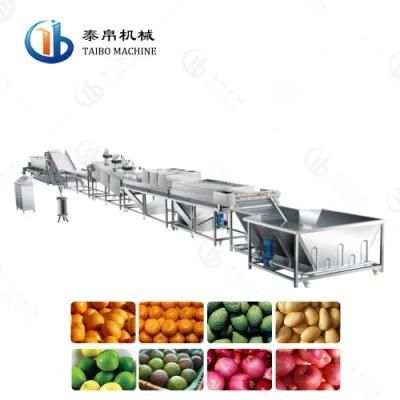 Industrial 50-500g Vegetable Fruit Washing Waxing Drying Size Sorting Line for Factory