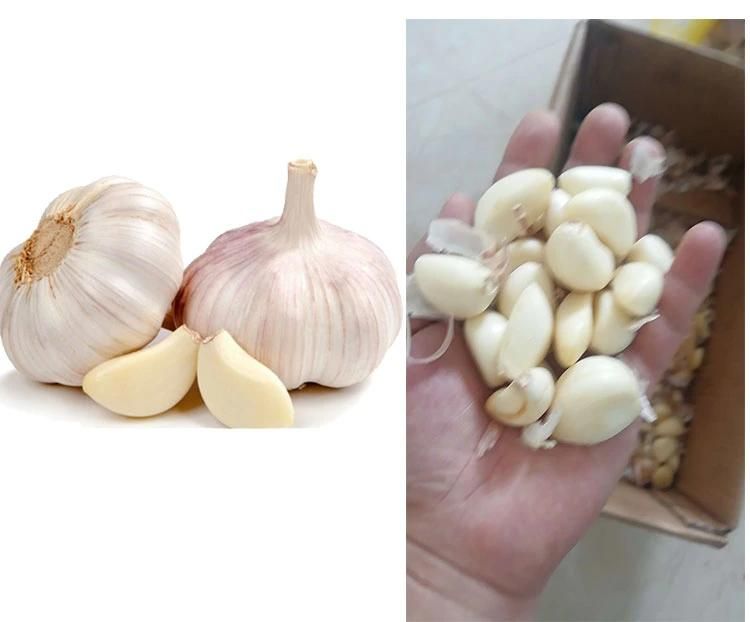 Garlic Cloves Filling Production Line with Liquid Nitrogen Full Automatic Garlic Peeling Machine