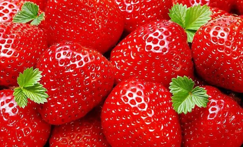 Small Capacity Strawberry Paste Production Machines