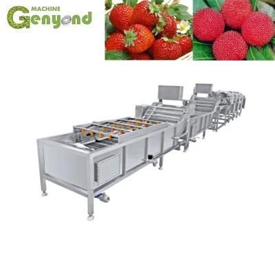 Air Bubble Grape and Cherry Washing Cleaning Machine Fruit Color Sorter Machine for Fruit ...
