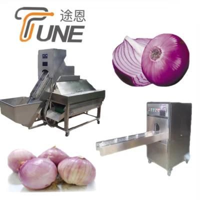 High Quality Industrial Onion Peeling Machine and Onion Root Cutting Machine