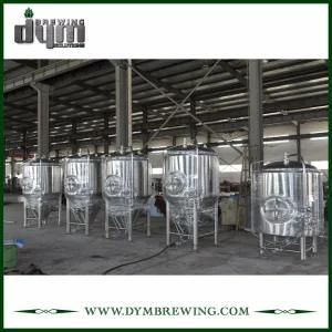 Professional Customized 15bbl Conical Unitank Fermenter for Beer Brewery Fermentation with ...