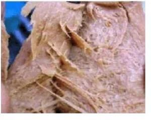 Tvp Textured Soy Protein Food Machine