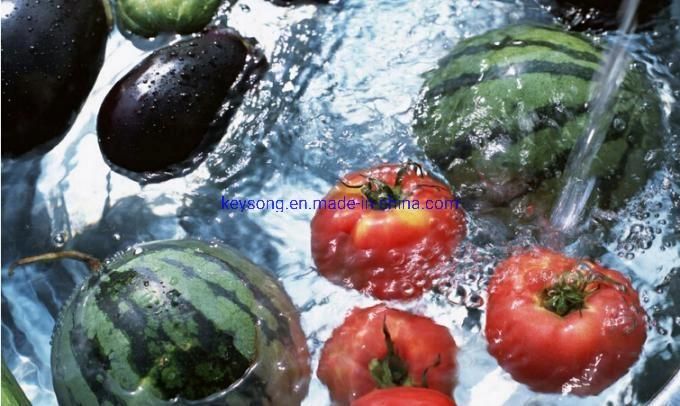 Commercial Apple Strawberry Blueberry Cherry Fruit Vegetable Washing Machine