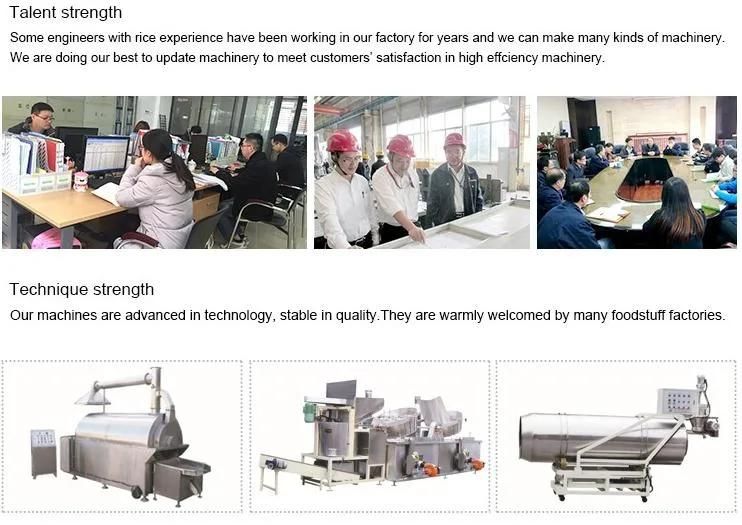 Factory Price Automatic Continuous Deep Fryer Frying Machine