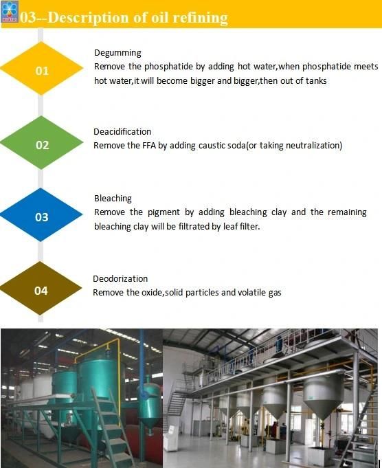 Oilseeds Cold Press Pretreatment Equipment, Husking, Cleaning Screen, Flaking Equipment